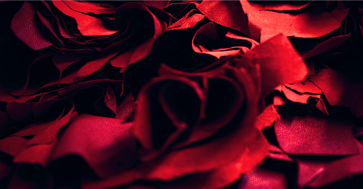 Simplicity is the keynote of all true elegance